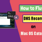 Flush DNS record on macOS Catalina
